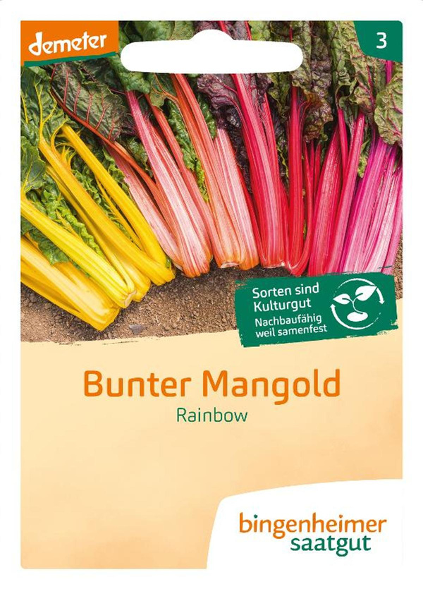 Produktfoto zu Saatgut Bunter Mangold Rainbow