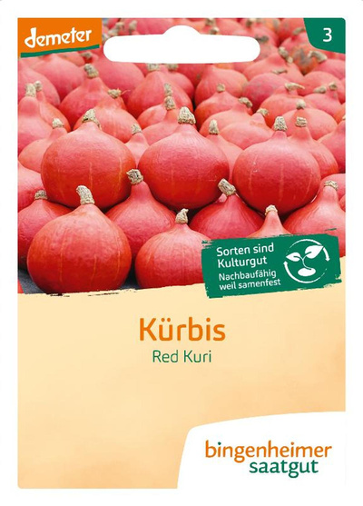 Produktfoto zu Saatgut Hokkaido Kürbis Red Kuri