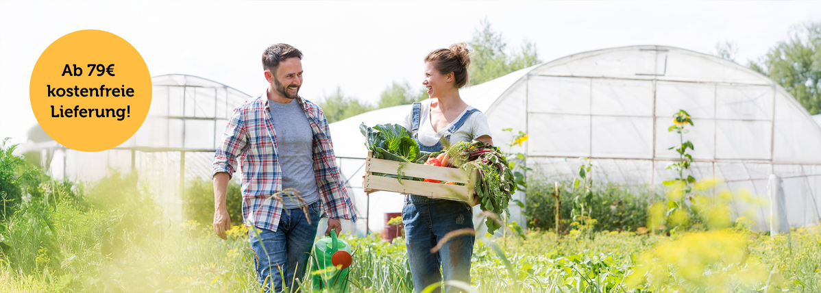 Zwei Personen im Gemüsegarten mit Erntekiste, Gewächshäuser im Hintergrund.