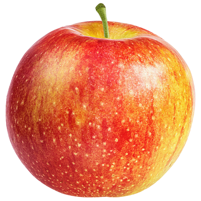 Produktfoto zu Apfel aus Werder