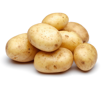 Produktfoto zu Frühkartoffeln vfk Solist 1,5kg