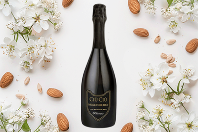 Produktfoto zu Pecorino Spumante Brut "Merlettaie", Azienda Ciù Ciù, 0,75l