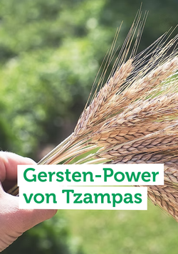 Produktfoto zu Tzampas beweist: In unserem heimischen Getreide steckt ganz viel Energie und das Potenzial für leckere Riegel!