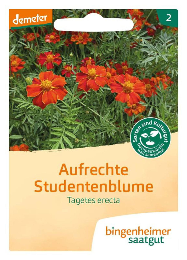 Produktfoto zu Saatgut Studentenblume