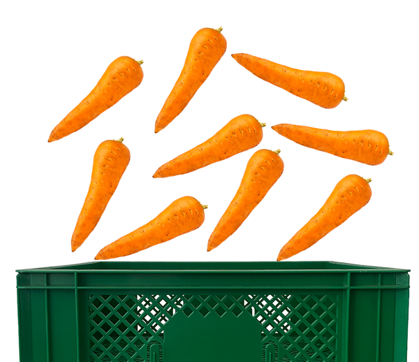 Produktfoto zu Möhren Kiste 5kg
