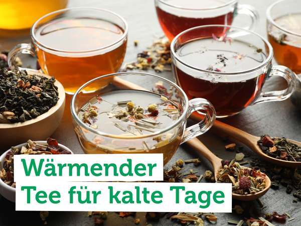 Kühe grasen auf einer Wiese; Text: "Weiderind vom Gut Peetzig".