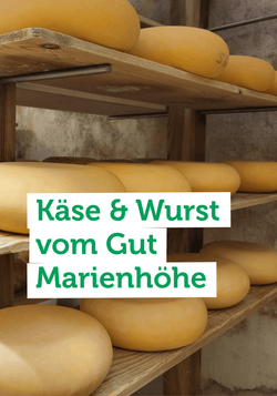 Produktfoto zu Unser Team war zu Besuch auf dem Gut Marienhöhe bei Bad Saarow und durfte bei der Käseproduktion dabei sein.