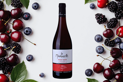 Produktfoto zu La Marouette Pinot Noir, Weingut Jacques Frelin, 0,75l