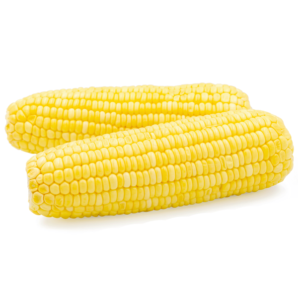 Produktfoto zu Zuckermais 2 Stk, ca 400g folienverpackt