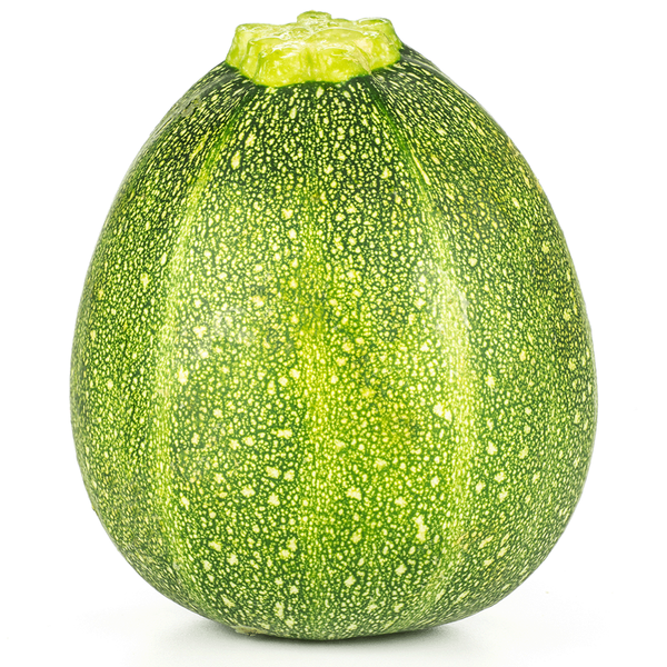 Produktfoto zu Zucchini rund grün, ca. 300g