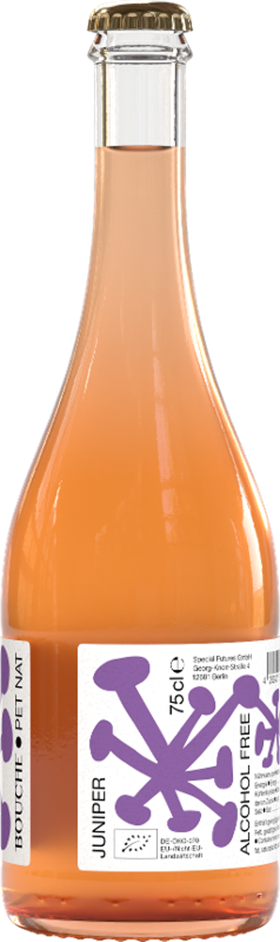 Produktfoto zu Kombucha Juniper Pet Nat Alkoholfrei 0,75l