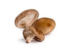 Produktfoto zu Shiitake-Pilze, 200g