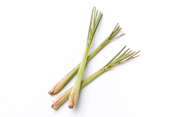 Produktfoto zu Zitronengras frisch im Stück ca 50g