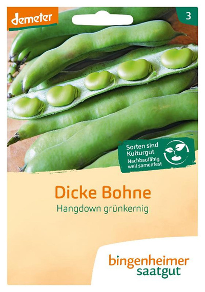 Produktfoto zu Saatgut Dicke Bohne Hangdown