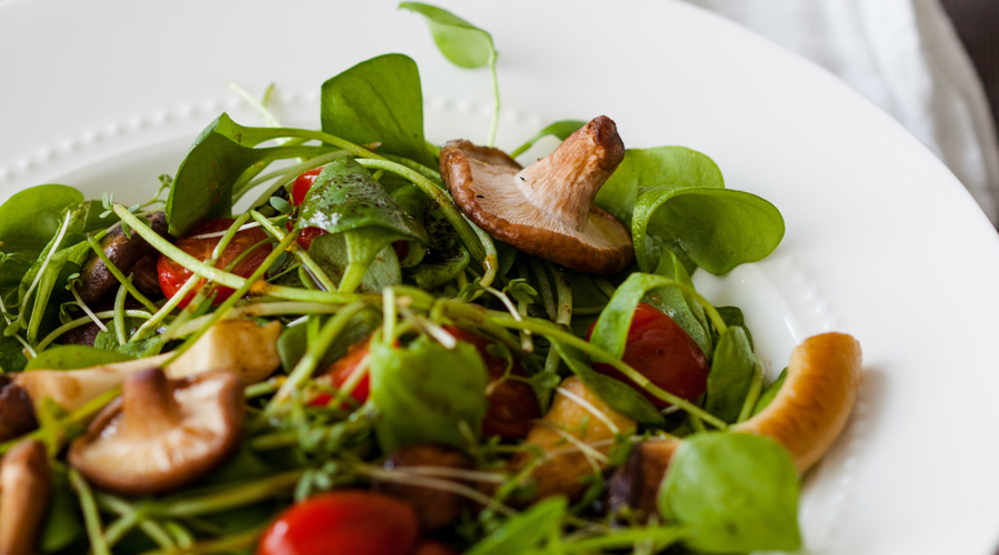 Rezeptbild für Lauwarmer Postelein-Salat