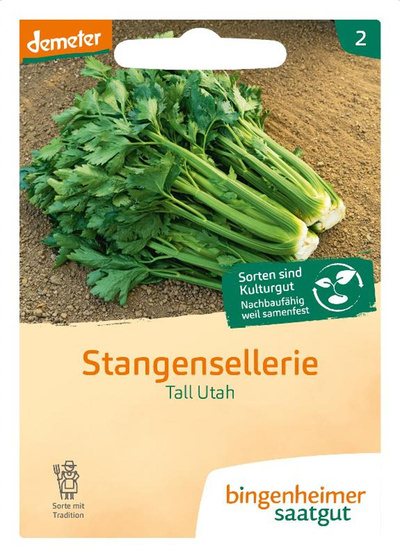 Produktfoto zu Saatgut Stangensellerie Tall Utah
