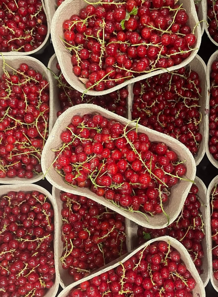 KI-generierte Beschreibung: Mehrere Gläser mit Johannisbeeren.