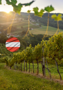 Produktfoto zu Unsere besten Weine aus Österreich