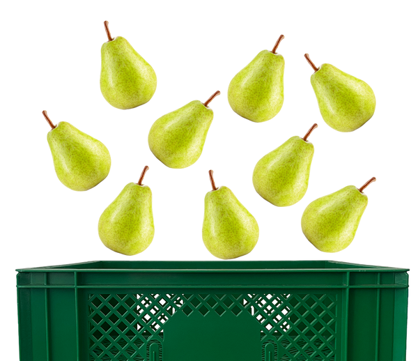 Produktfoto zu Birnen Kiste 5 kg