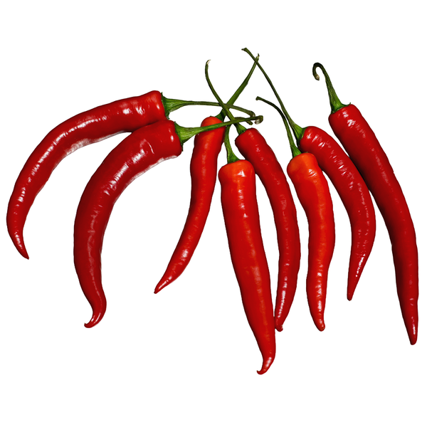 Produktfoto zu Chili de Cayenne 100g