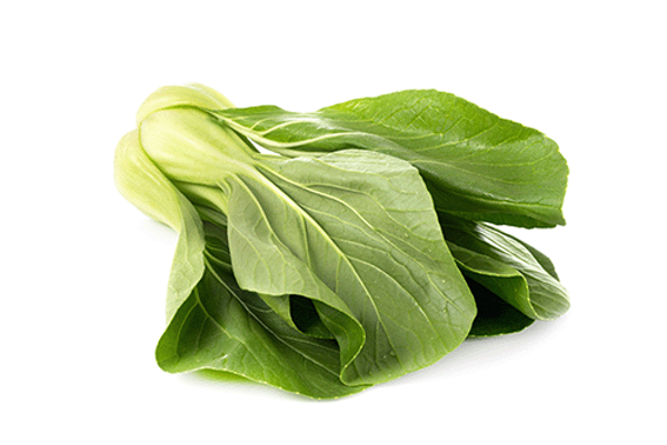 Produktfoto zu Pak Choi