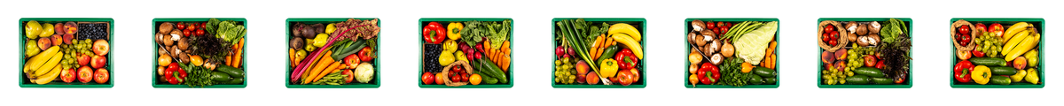 Eine Reihe von grünen Kiste gefüllt mit Obst und Gemüse auf weißem Hintergrund