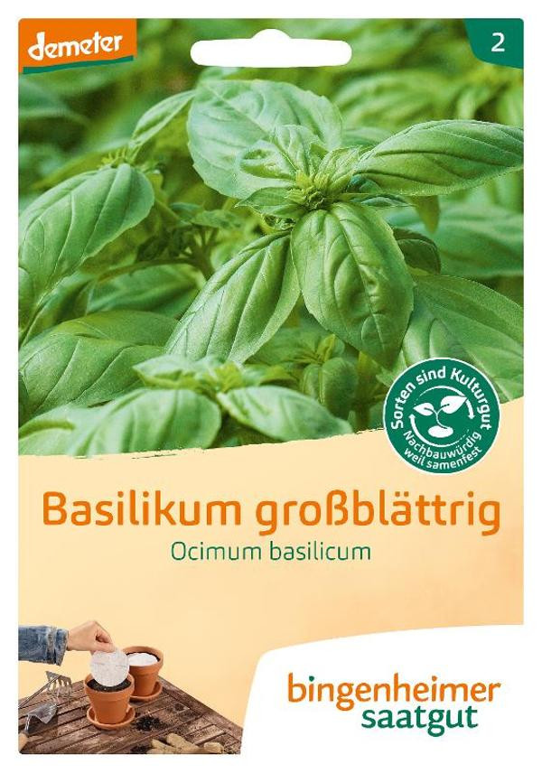 Produktfoto zu Saatgut Basilikum großblättrig