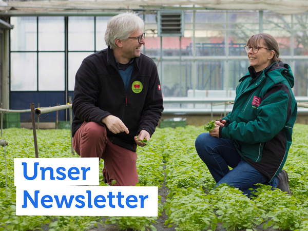 Kühe grasen auf einer Wiese; Text: "Weiderind vom Gut Peetzig".