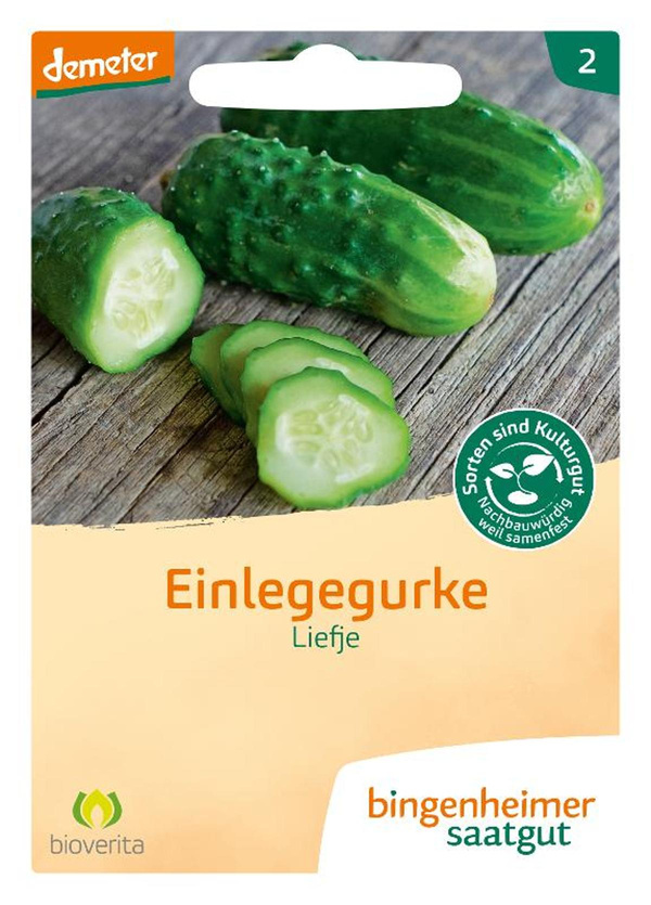 Produktfoto zu Saatgut Einlegegurke Liefje