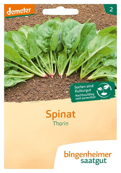 Produktfoto zu Saatgut Spinat Thorin