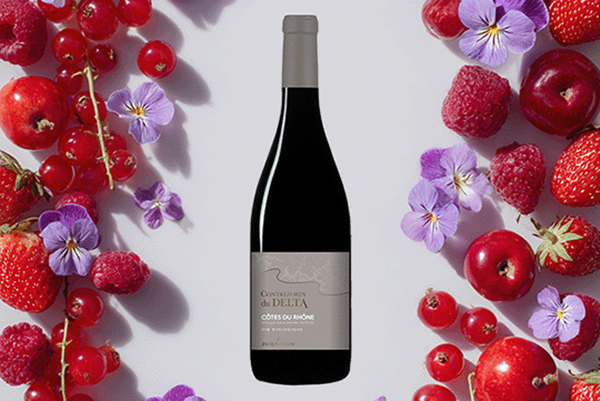 Produktfoto zu Côtes du Rhône Contreforts du Delta AOP, Weingut Jacques Frelin, 0,75l