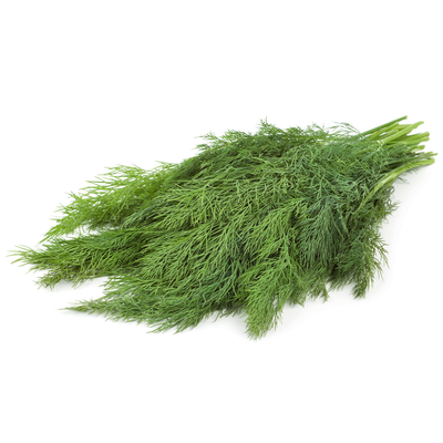 Produktfoto zu Kräuter - Dill