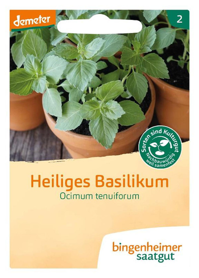 Produktfoto zu Saatgut Heiliges Basilikum