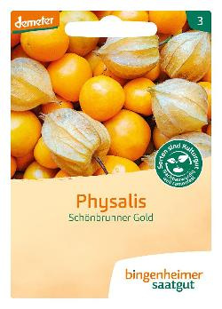 Produktfoto zu Saatgut Physalis Schönbrunner Gold