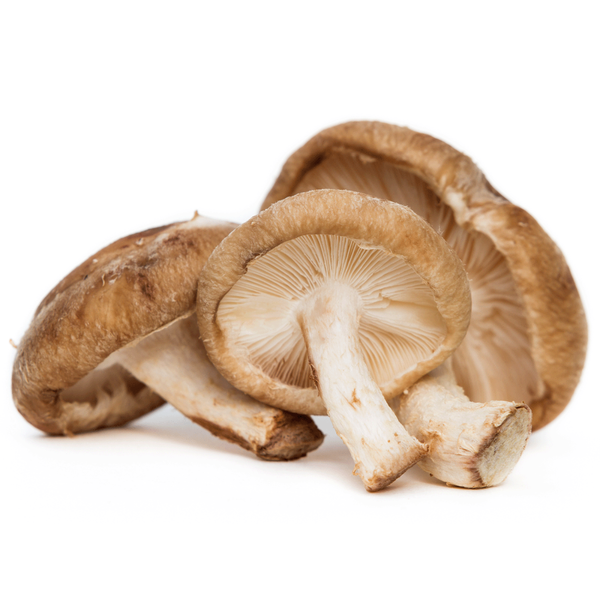 Produktfoto zu Shiitake-Pilze, 200g