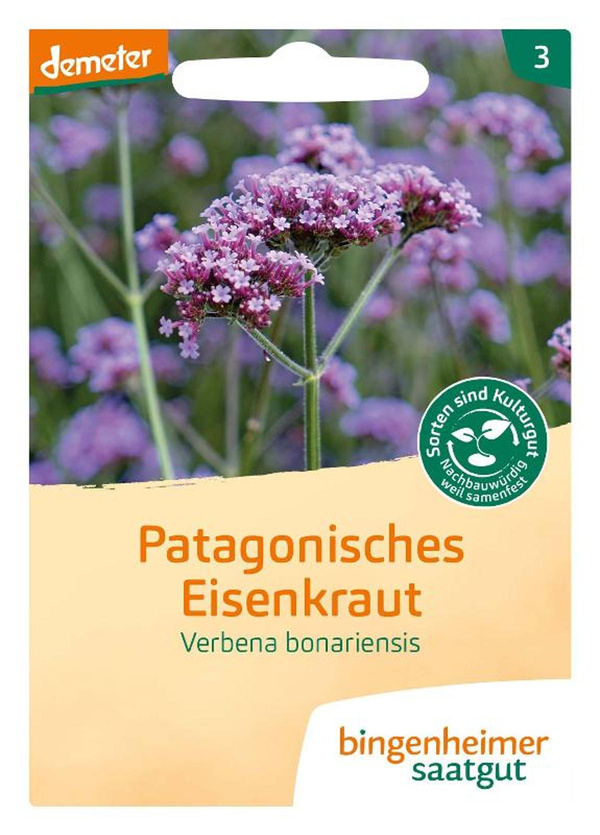 Produktfoto zu Saatgut Patagonisches Eisenkraut
