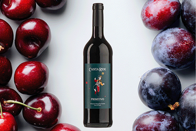 Produktfoto zu CantaRide Primitivo IGP, VivoLoVin, 0,75l