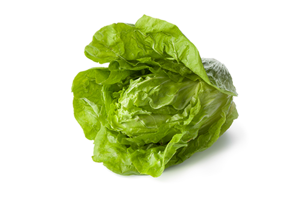 Produktfoto zu Salat - Zuckerhut