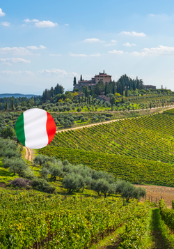 Produktfoto zu Unsere besten Weine aus Italien