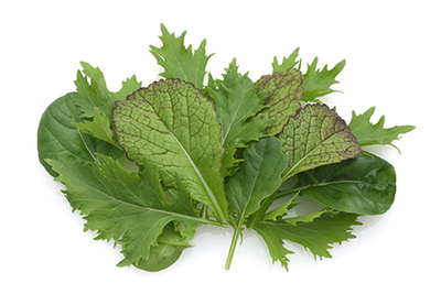 Produktfoto zu Salat - Asiasalat 125g