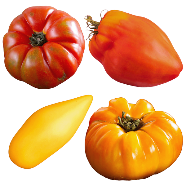 Produktfoto zu Fleischtomaten alte Sorten 2 kg