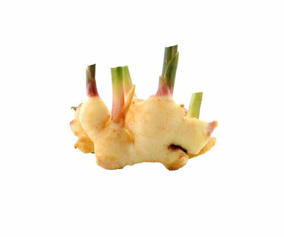Produktfoto zu Ingwer frisch