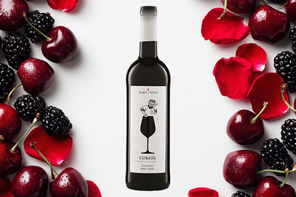 Produktfoto zu Curiós Tempranillo, Albet I Noya, 0,75l