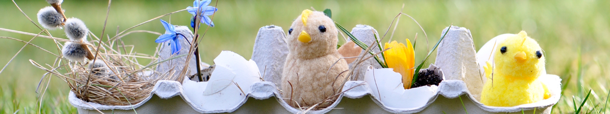 KI generiert: Eierkarton mit Deko: Kuscheltiere, Blüten und Weidenkätzchen auf Gras.