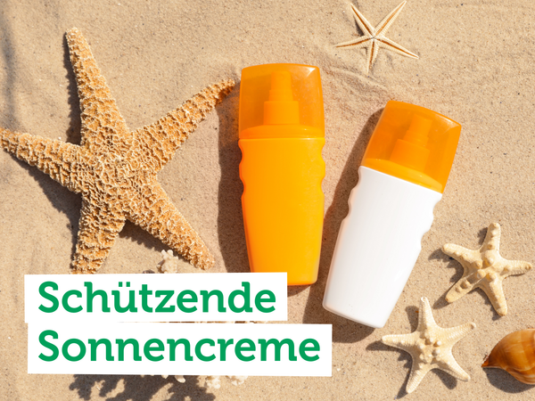 Kühe grasen auf einer Wiese; Text: "Weiderind vom Gut Peetzig".