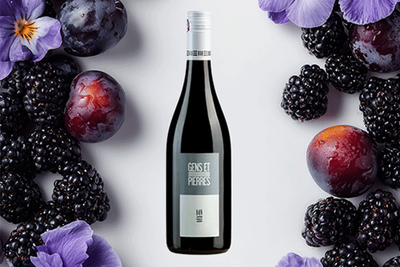 Produktfoto zu Gens et Pierres Sud Sud Rouge IGT, Weingut Natoli - Montpeyroux, 0,75l