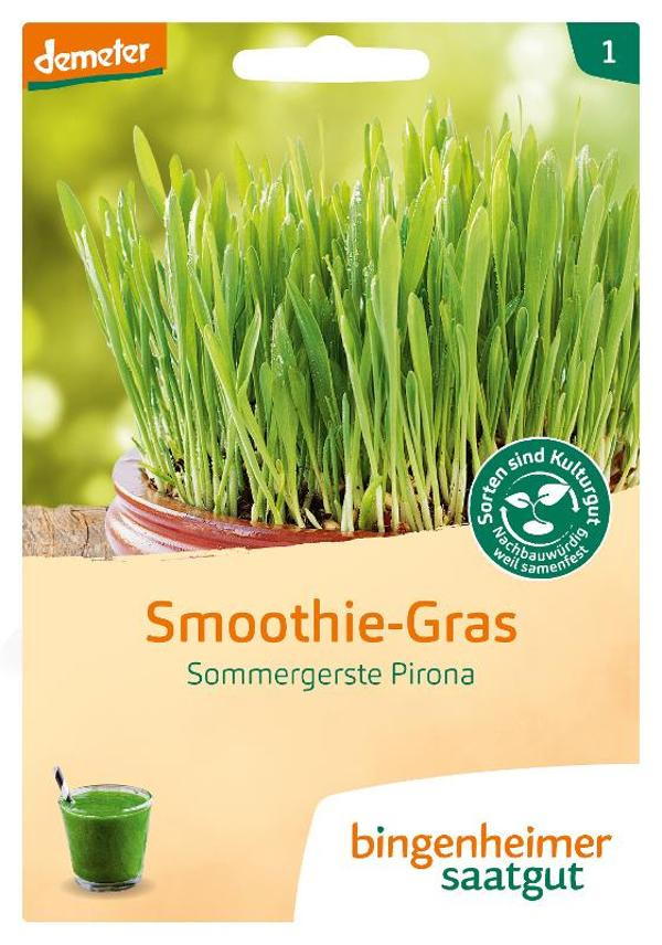 Produktfoto zu Saatgut Smoothie Gras Pirona