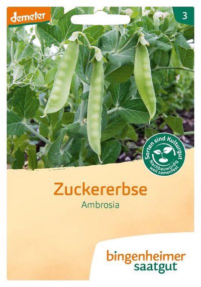 Produktfoto zu Saatgut  Zuckererbse Ambrosia