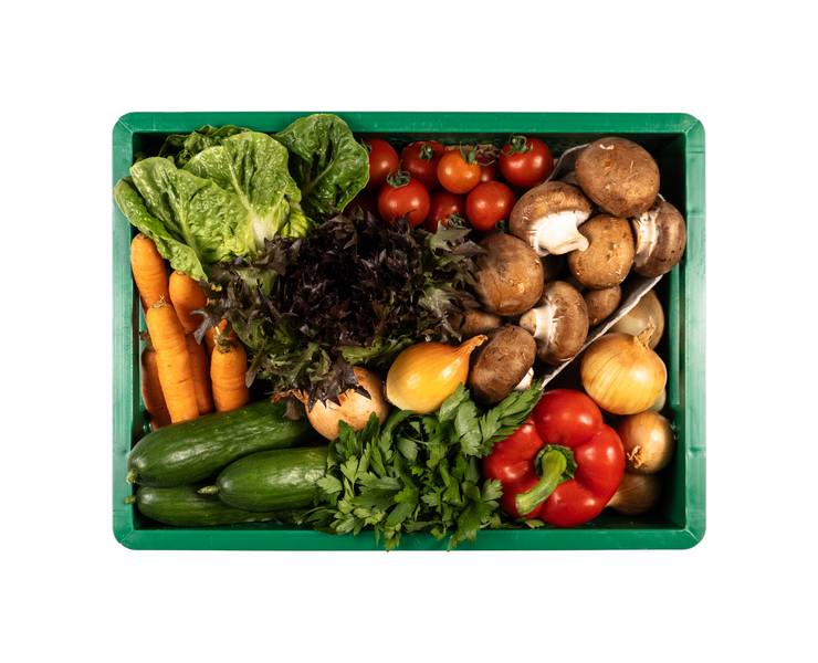 Vogelperspektive auf eine grüne Plastikkiste voller Gemüse wie Salat, Gurke, Tomaten, Pilze und Zwiebeln