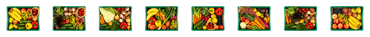 Eine Reihe von grünen Kiste gefüllt mit Obst und Gemüse auf weißem Hintergrund